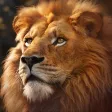 Beast Lord: The New Land Beast Lord: The New Land