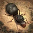 The Ants: Underground Kingdom The Ants: Underground Kingdom