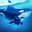 World of Water: Great Journey World of Water: Great Journey