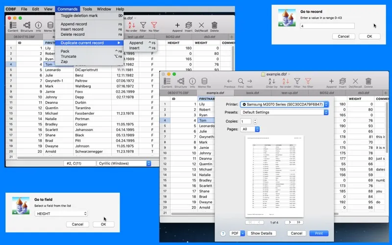 Screenshot di CDBF