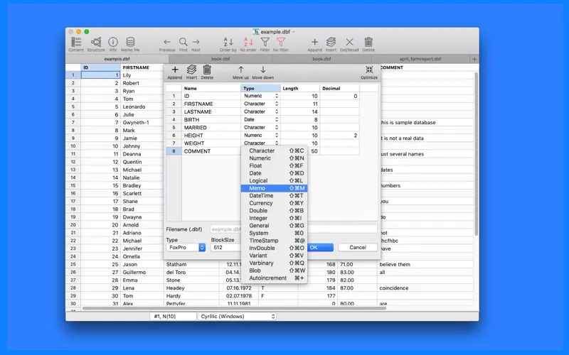 Screenshot di CDBF