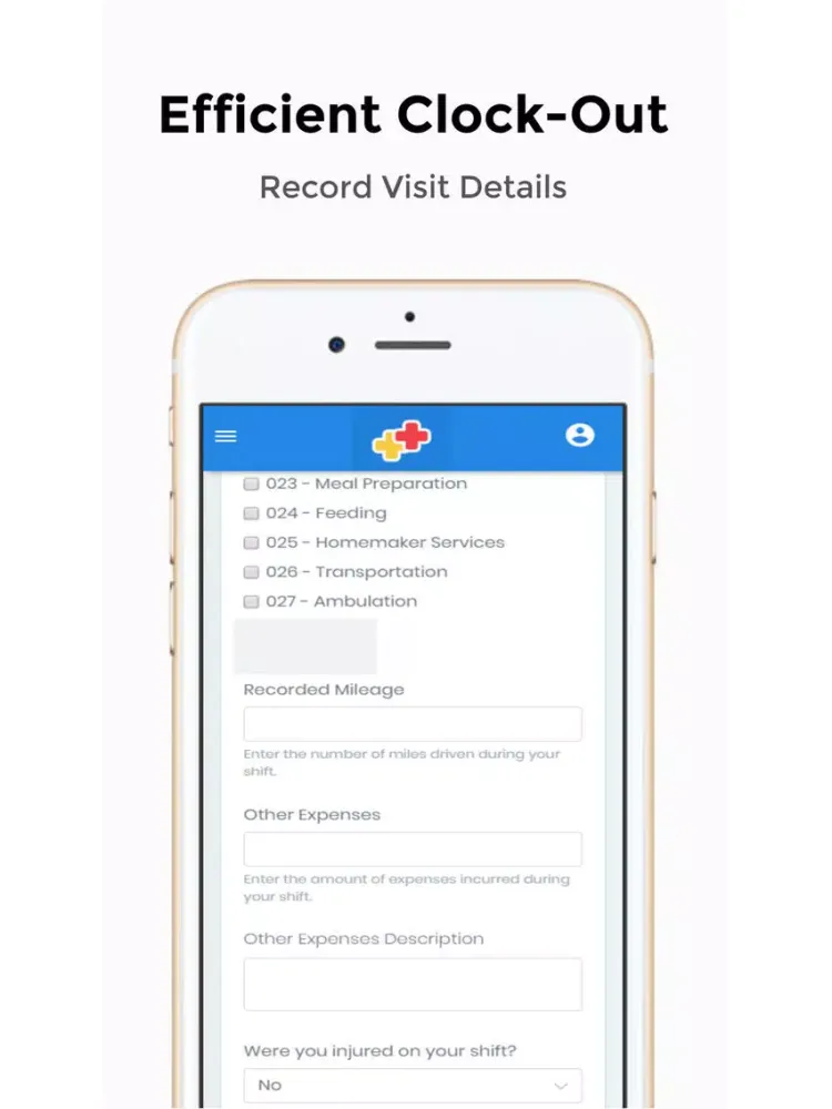 ภาพหน้าจอของ Ally Visit Verification iPad 