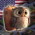 OWL－ English Language Learning