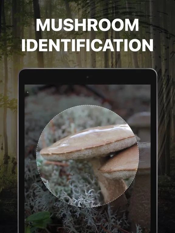 Mushroom Identification. iPad  Screenshots