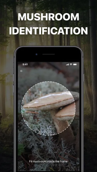 Mushroom Identification. Screenshots