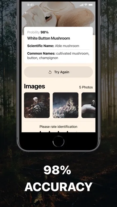 Mushroom Identification. Screenshots