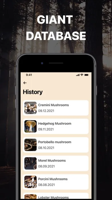 Mushroom Identification. Screenshots