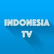 Indonesia TV Online