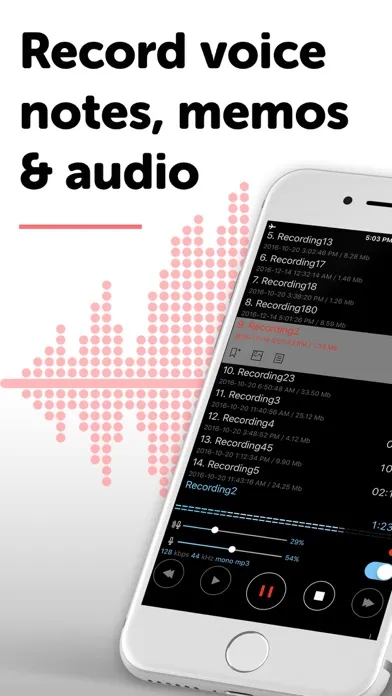 Alon Dictaphone-Voice Recorder স্ক্রিনশট