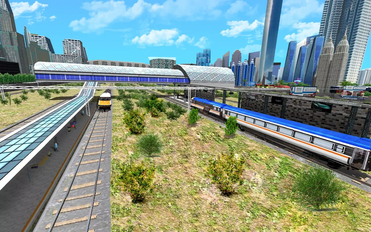 Indian Train Simulator Driving应用截图