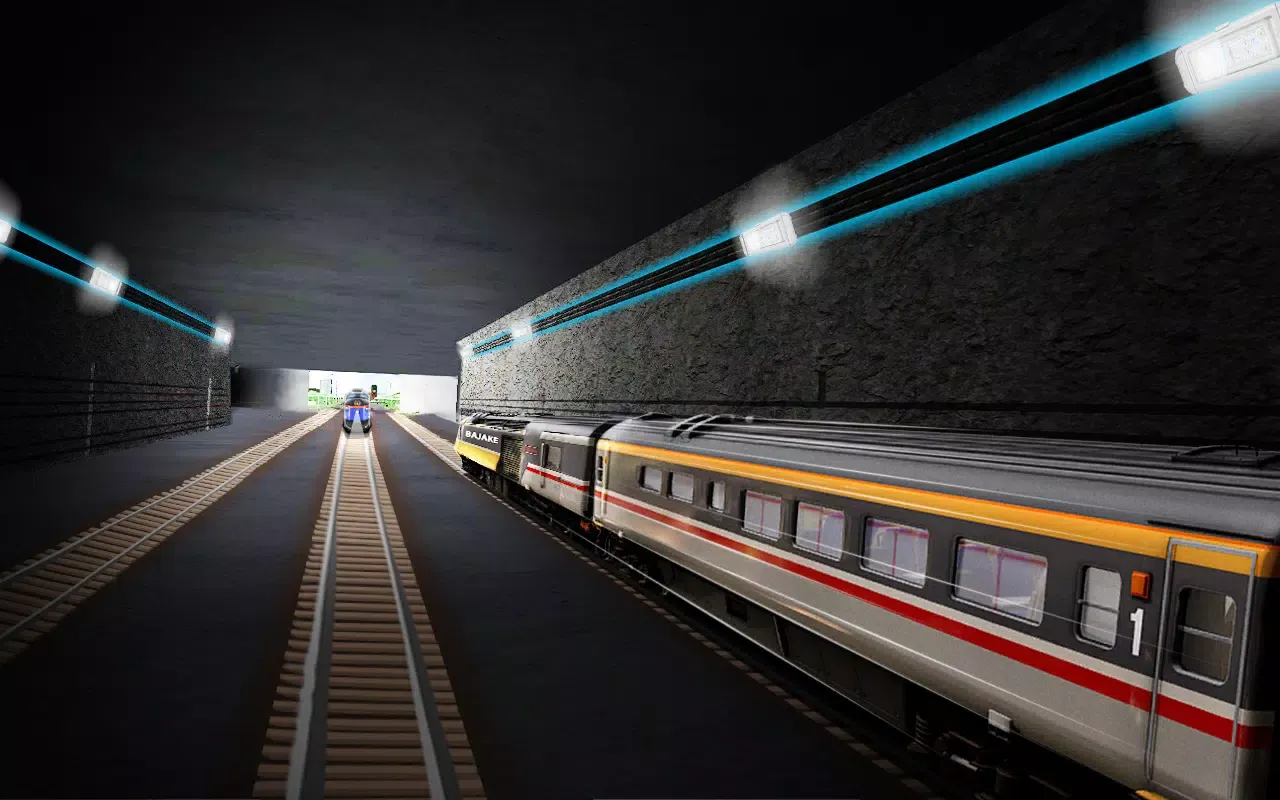 Indian Train Simulator Driving应用截图