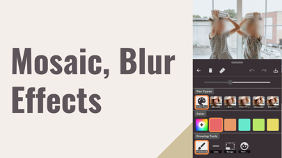 Blur & Mosaic Photo editor应用截图