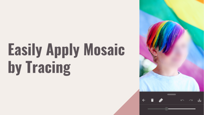 Blur & Mosaic Photo editor应用截图