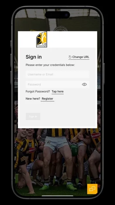 Captures d'écran de Kilkenny Cats Social
