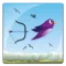 Hunt Birds With Arrow & Bow