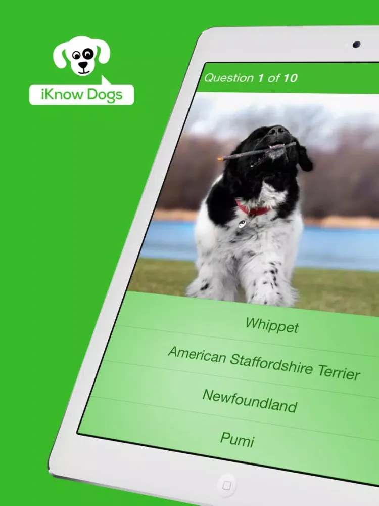 iKnow Dogs Quiz iPad  سکرین شاٹس