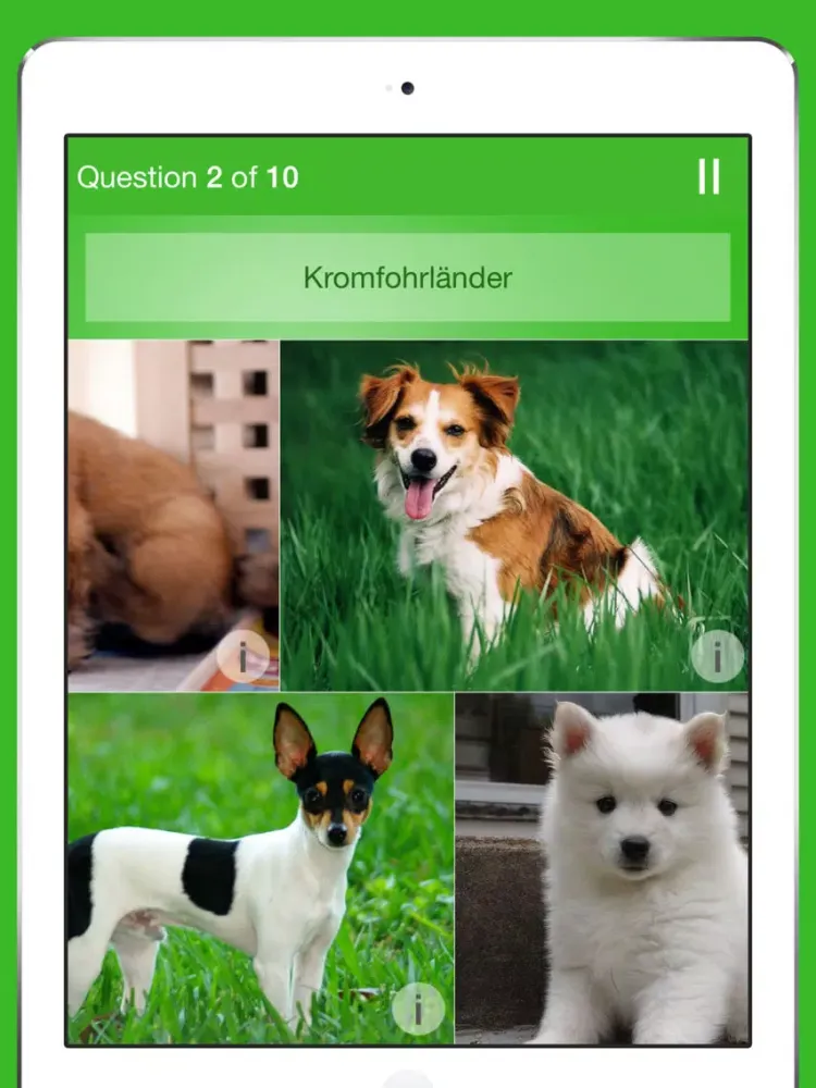 iKnow Dogs Quiz iPad  سکرین شاٹس