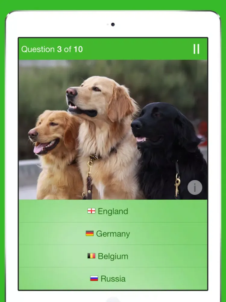 iKnow Dogs Quiz iPad  سکرین شاٹس