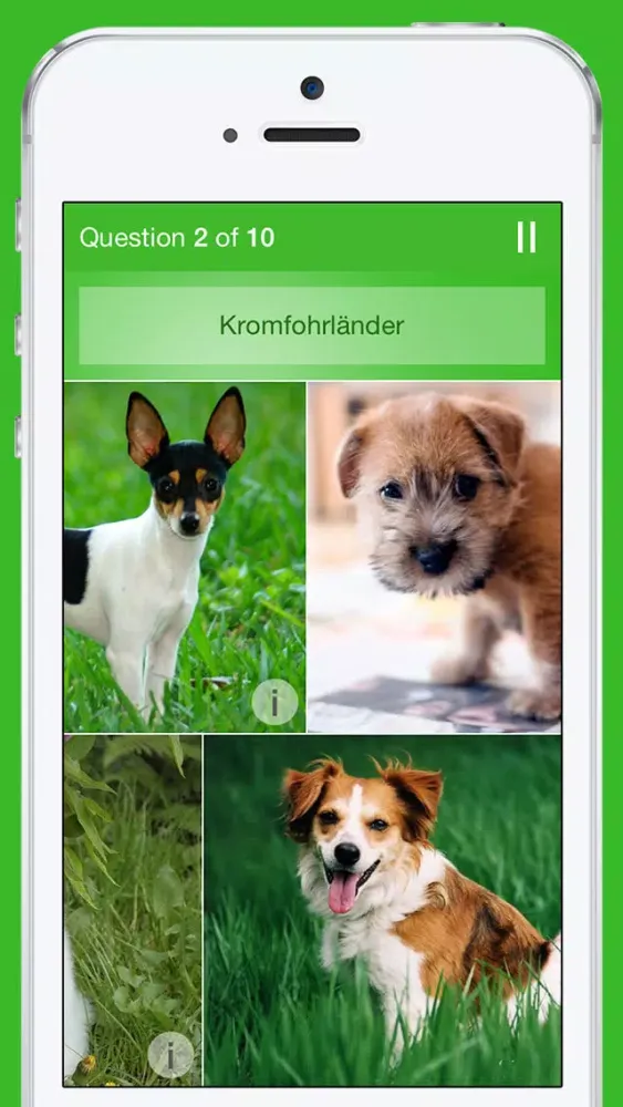 iKnow Dogs Quiz سکرین شاٹس