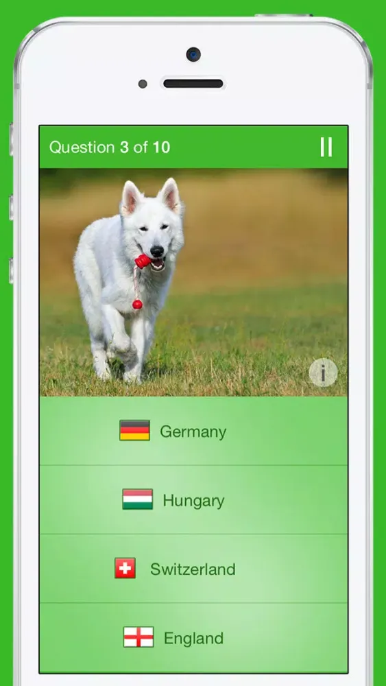 iKnow Dogs Quiz سکرین شاٹس