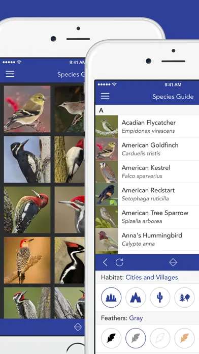 تصاویر iKnow Birds PRO - USA