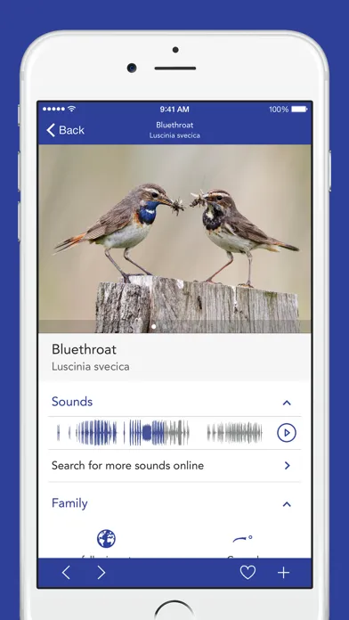 تصاویر iKnow Birds PRO - USA