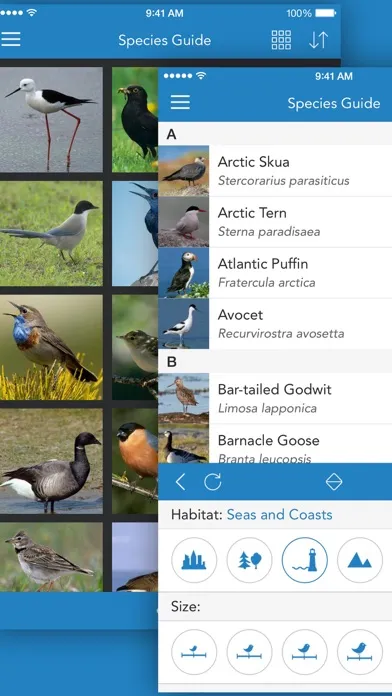Ảnh chụp màn hình của iKnow Birds 2 PRO - Europe