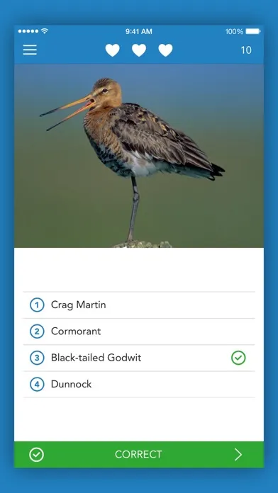 Ảnh chụp màn hình của iKnow Birds 2 PRO - Europe