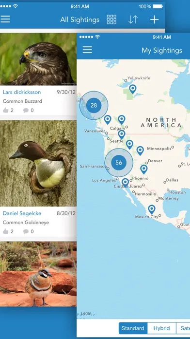 Ảnh chụp màn hình của iKnow Birds 2 PRO - Europe