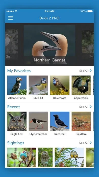 Ảnh chụp màn hình của iKnow Birds 2 PRO - Europe