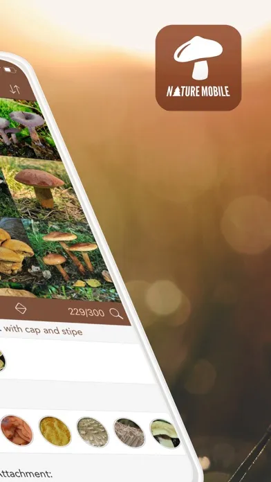 Ảnh chụp màn hình của Mushrooms LITE - Field Guide