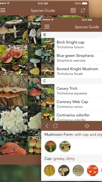 Ảnh chụp màn hình của Mushrooms LITE - Field Guide