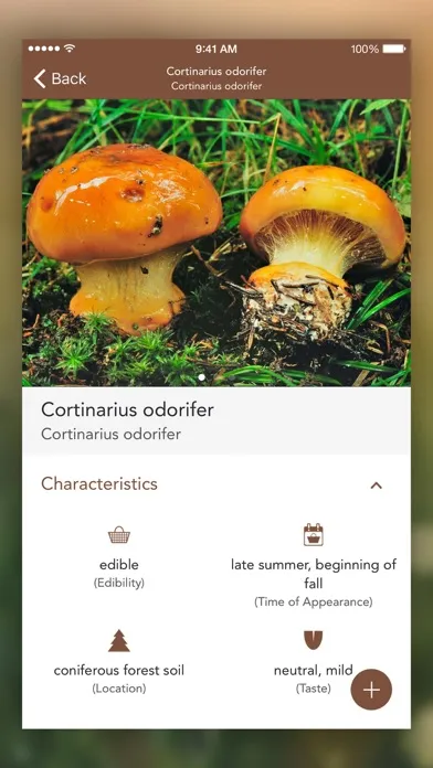 Ảnh chụp màn hình của Mushrooms LITE - Field Guide