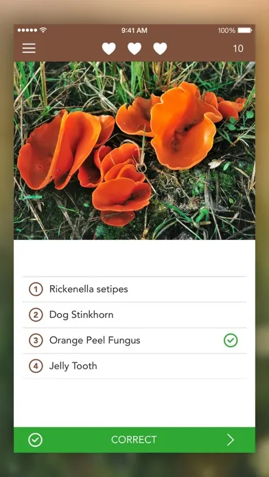 Ảnh chụp màn hình của Mushrooms LITE - Field Guide