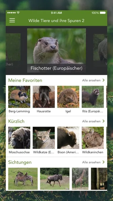 تصاویر Wild Animals and Traces PRO