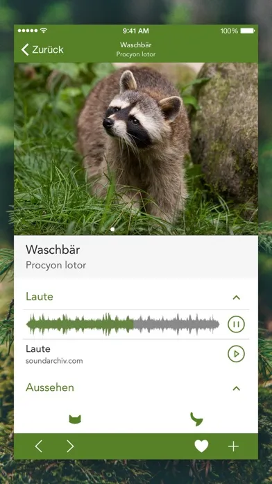 تصاویر Wild Animals and Traces PRO