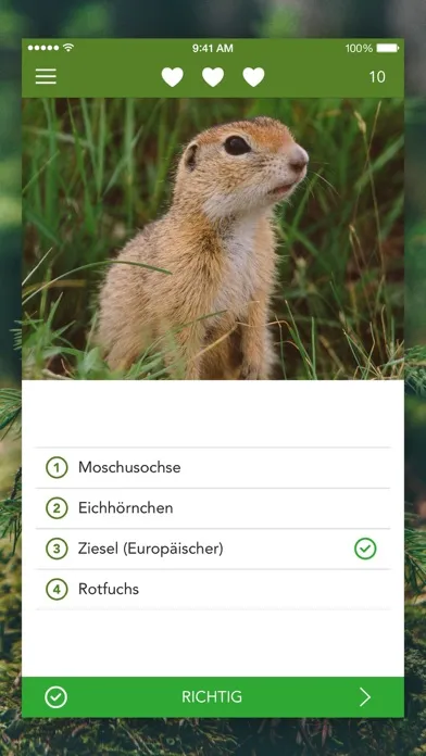 تصاویر Wild Animals and Traces PRO