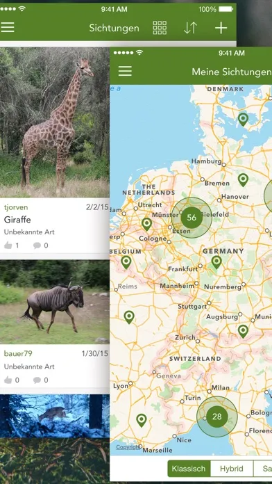 تصاویر Wild Animals and Traces PRO
