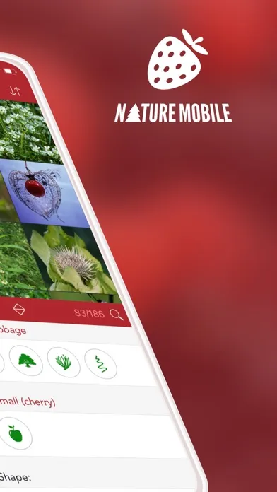 Wild Berries and Herbs 2 PRO スクリーンショット