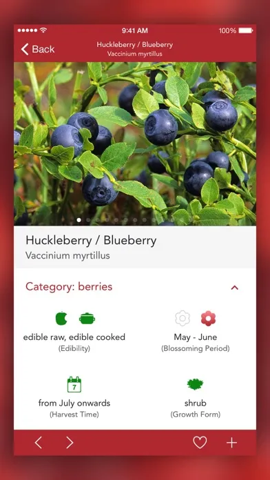 Wild Berries and Herbs 2 PRO スクリーンショット