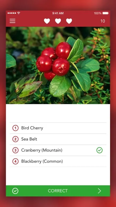 Wild Berries and Herbs 2 PRO スクリーンショット
