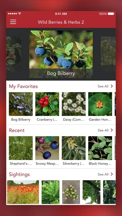 Wild Berries and Herbs 2 PRO スクリーンショット