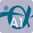 Englisch Aufbau 1