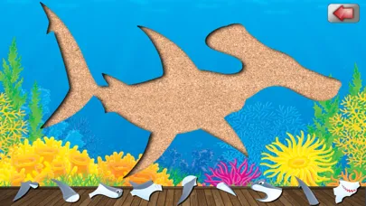 Ảnh chụp màn hình của Ocean Animals