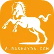 الرشايدة