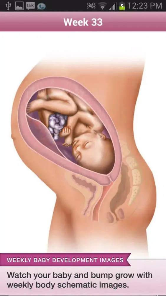 BabyBump Pro Screenshots