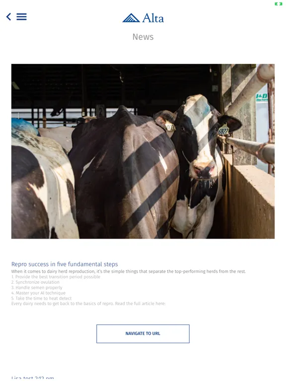 صور Alta Bull Search iPad 