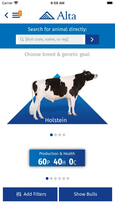 صور Alta Bull Search