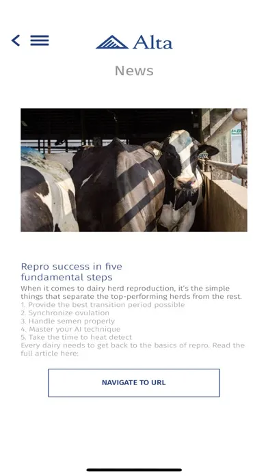 صور Alta Bull Search