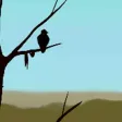 Fly Away Adventure Fly Away Adventure